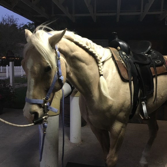 Meet your Posher, Cristy - Picture 1 of 1